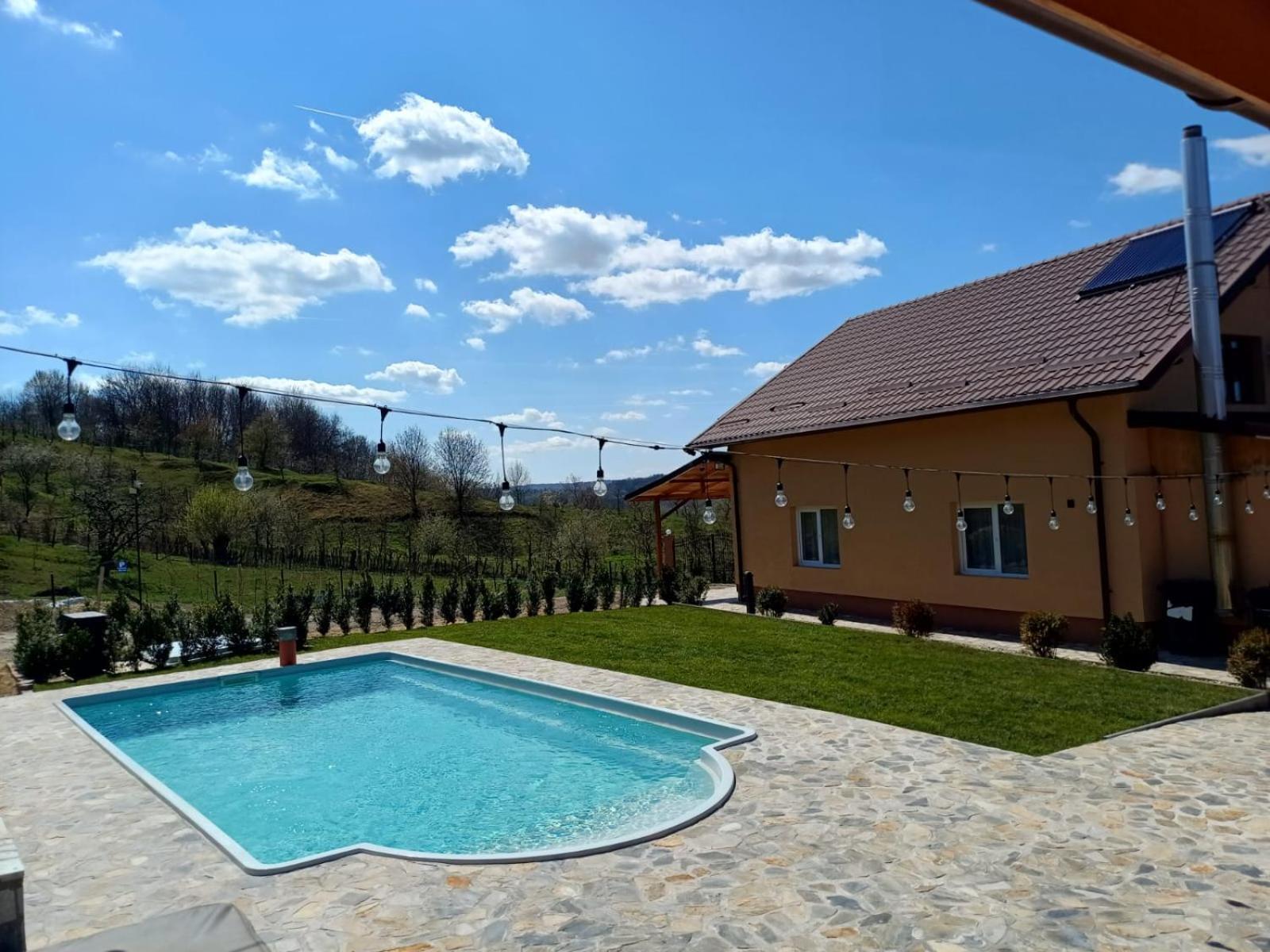 Casa De Vacanta Cu Piscina Incalzita&Jacuzzi Pietrari Exteriér fotografie